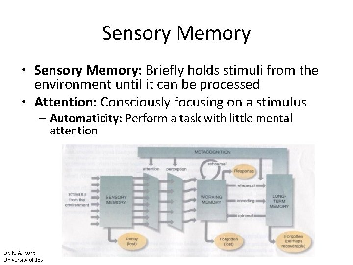 Sensory Memory • Sensory Memory: Briefly holds stimuli from the environment until it can