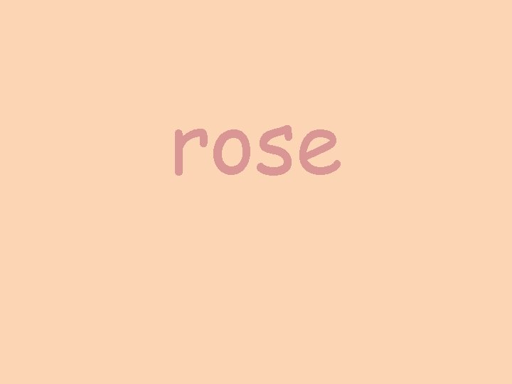 rose 