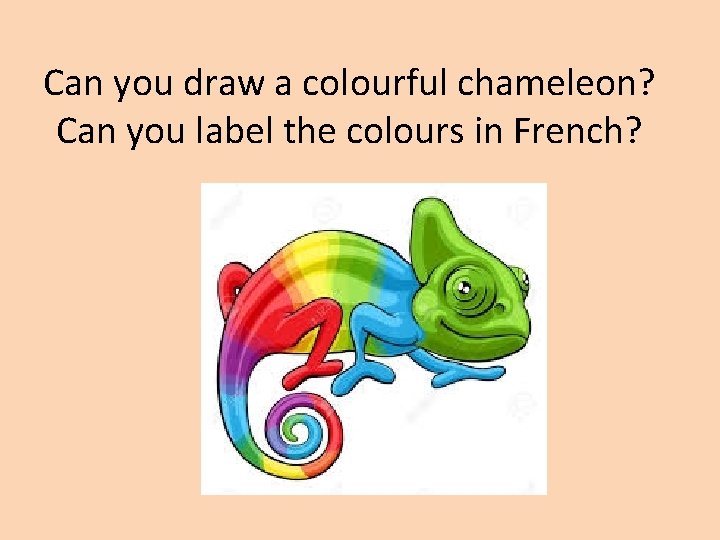 Can you draw a colourful chameleon? Can you label the colours in French? 