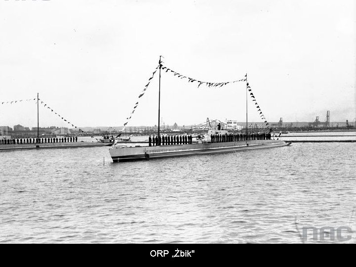 ORP „Żbik" 