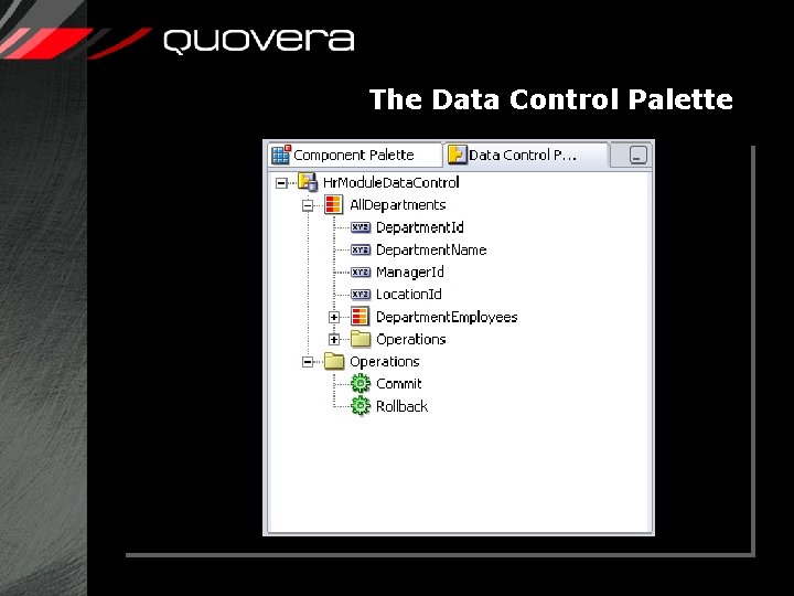 The Data Control Palette 