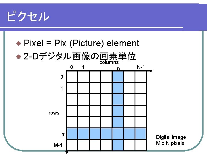 ピクセル l Pixel = Pix (Picture) element l 2 -Dデジタル画像の画素単位 0 1 columns n