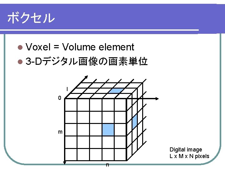 ボクセル l Voxel = Volume element l 3 -Dデジタル画像の画素単位 l 0 m Digital image