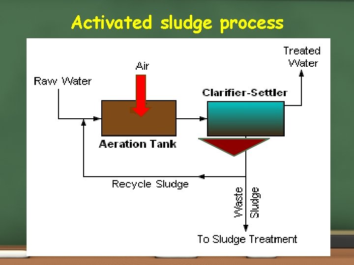 Activated sludge process 