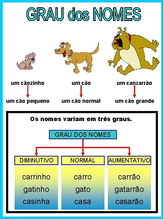 um cãozinho um cão um canzarrão um cão pequeno um cão normal um cão