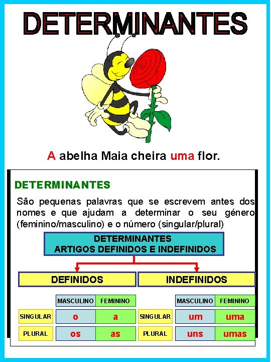 A abelha Maia cheira uma flor. DETERMINANTES São pequenas palavras que se escrevem antes