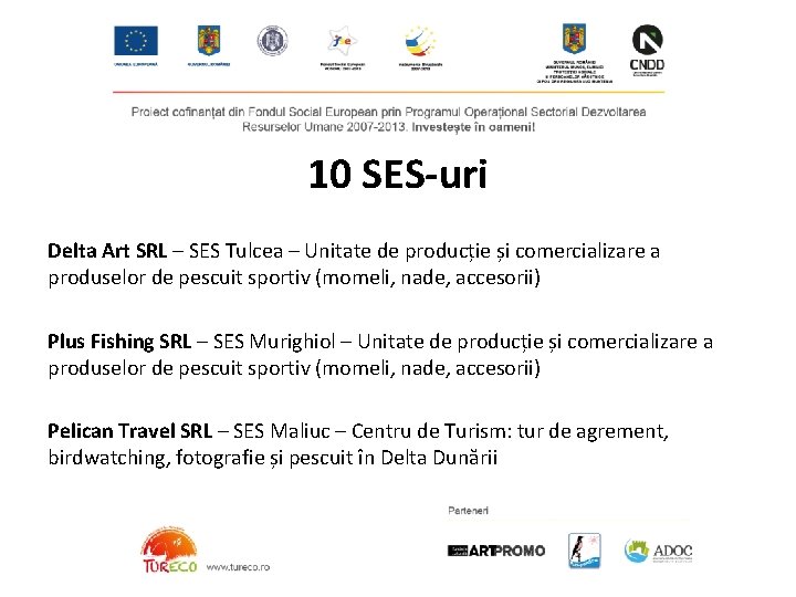 10 SES-uri Delta Art SRL – SES Tulcea – Unitate de producție și comercializare