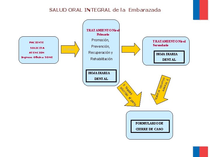 SALUD ORAL INTEGRAL de la Embarazada Promoción, PACIENTE SOLICITA ATENCION Ingreso Oficina SOME TRATAMIENTO