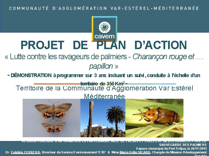 PROJET DE PLAN D’ACTION « Lutte contre les ravageurs de palmiers - Charançon rouge