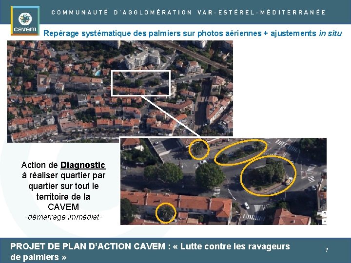 Repérage systématique des palmiers sur photos aériennes + ajustements in situ Action de Diagnostic