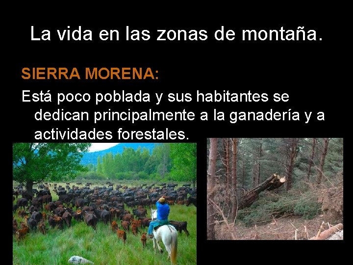 La vida en las zonas de montaña. SIERRA MORENA: Está poco poblada y sus