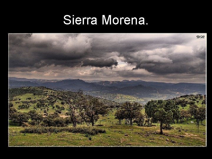Sierra Morena. 