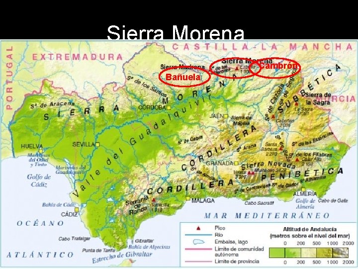 Sierra Morena. Cambrón Bañuela 