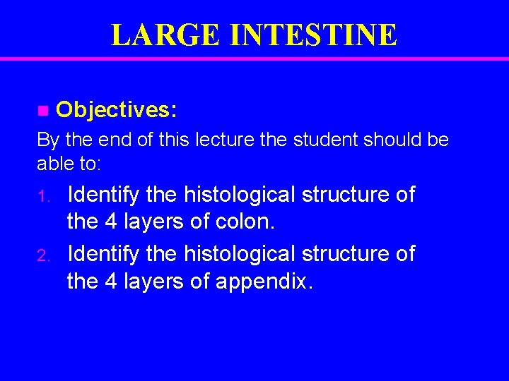 LARGE INTESTINE n Objectives: By the end of this lecture the student should be