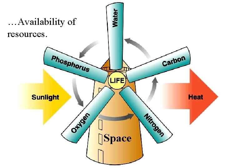 …Availability of resources. Space 