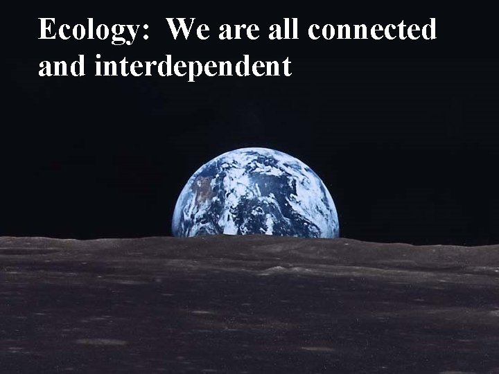 Ecology: We are all connected and interdependent 