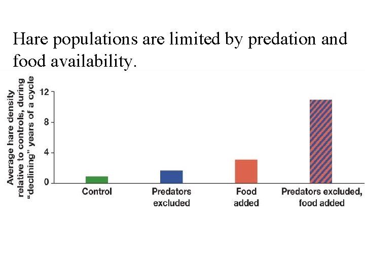 Hare populations are limited by predation and food availability. 