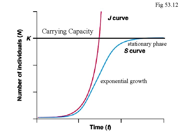 Fig 53. 12 Carrying Capacity stationary phase exponential growth 