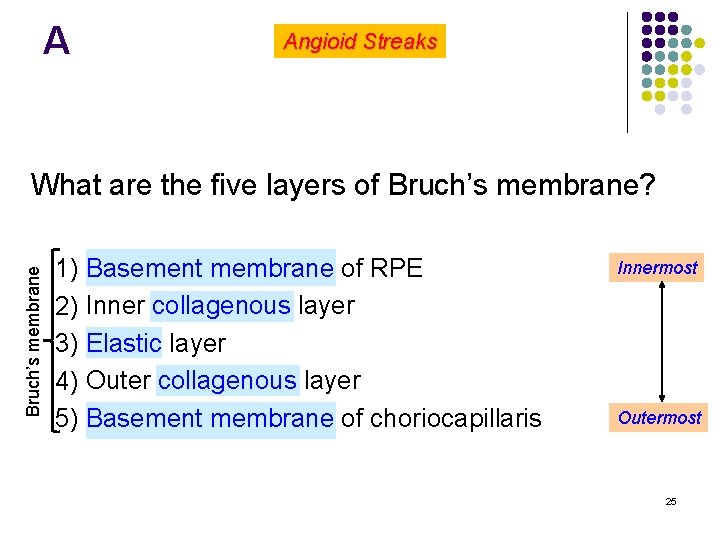 A Angioid Streaks Bruch’s membrane What are the five layers of Bruch’s membrane? l