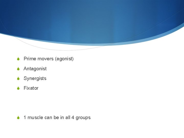 S Prime movers (agonist) S Antagonist S Synergists S Fixator S 1 muscle can