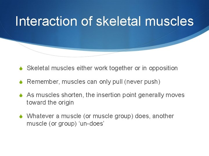 Interaction of skeletal muscles S Skeletal muscles either work together or in opposition S