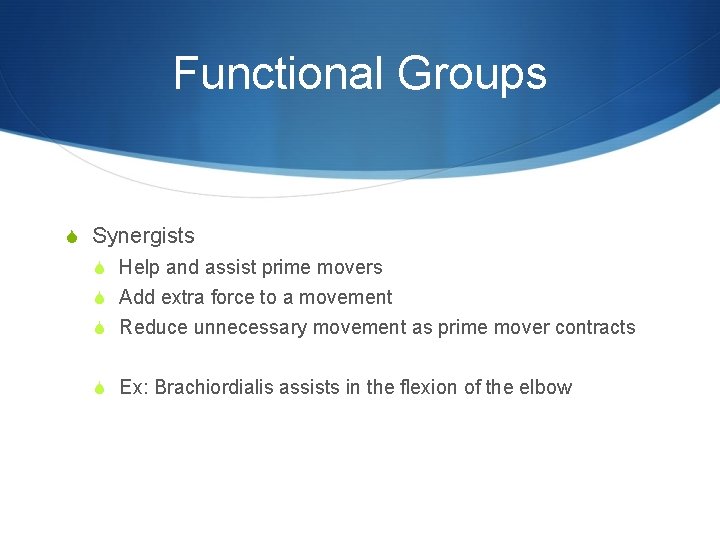 Functional Groups S Synergists S Help and assist prime movers S Add extra force