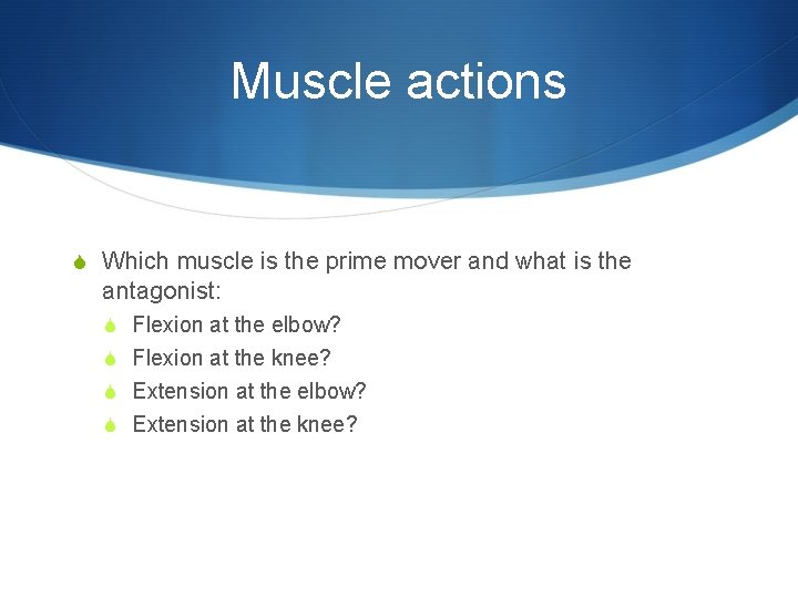 Muscle actions S Which muscle is the prime mover and what is the antagonist: