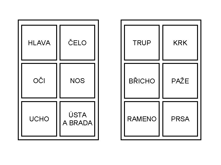 HLAVA ČELO TRUP KRK OČI NOS BŘICHO PAŽE UCHO ÚSTA A BRADA RAMENO PRSA