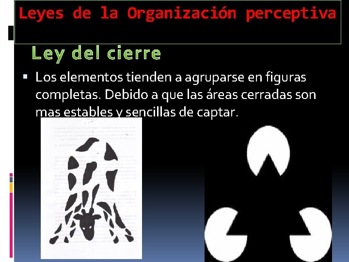 Leyes de la Organización perceptiva Los elementos tienden a agruparse en figuras completas. Debido