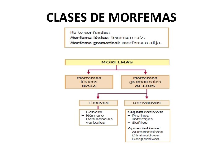 CLASES DE MORFEMAS 