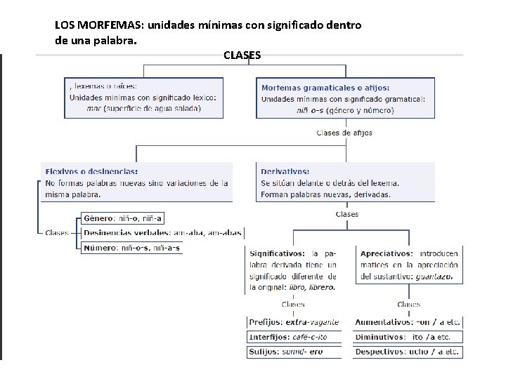 LOS MORFEMAS: unidades mínimas con significado dentro de una palabra. CLASES 