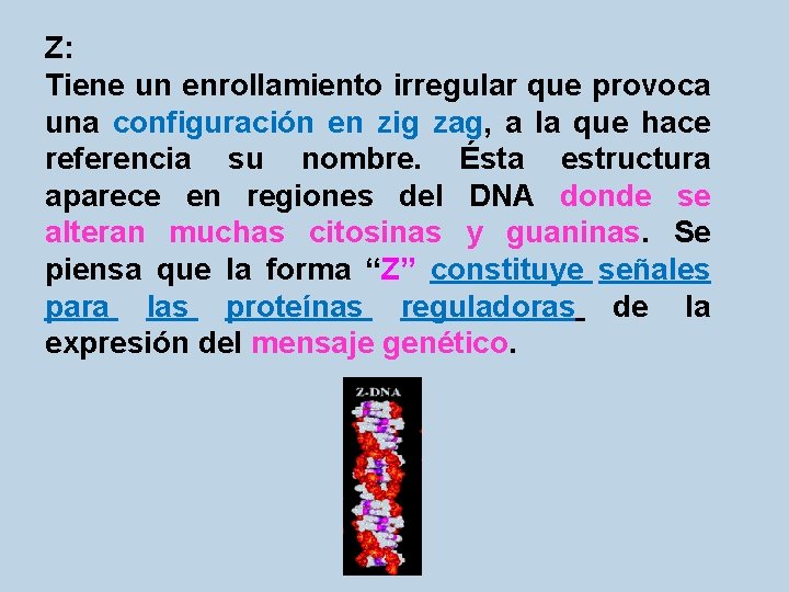 Z: Tiene un enrollamiento irregular que provoca una configuración en zig zag, a la