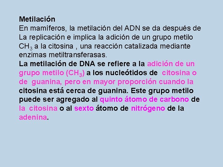 Metilación En mamíferos, la metilación del ADN se da después de La replicación e