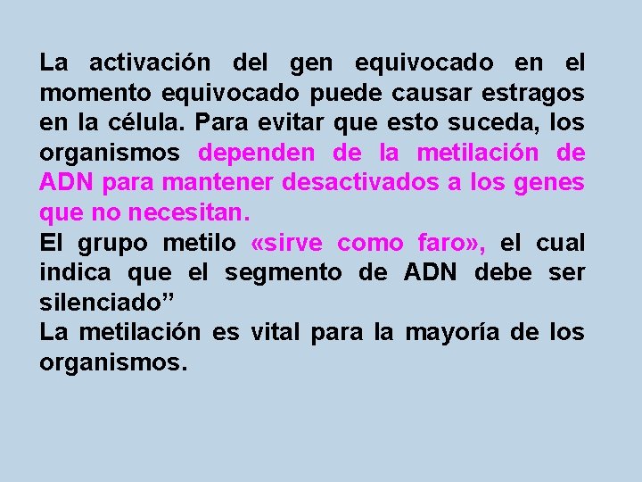 La activación del gen equivocado en el momento equivocado puede causar estragos en la