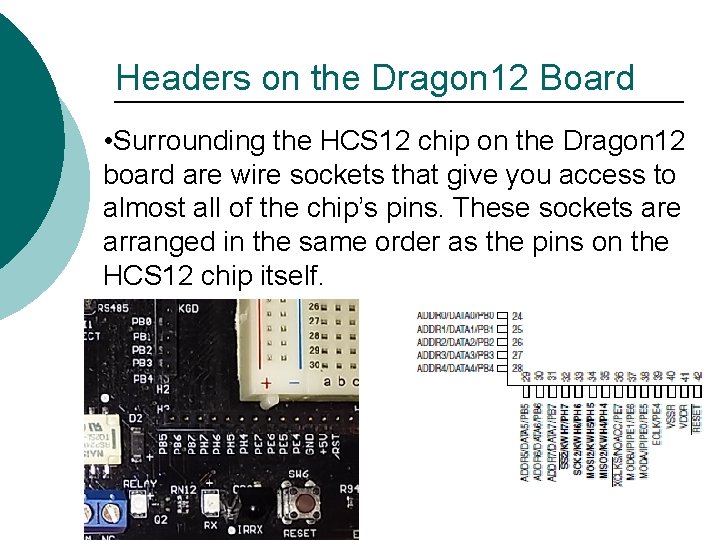 Headers on the Dragon 12 Board • Surrounding the HCS 12 chip on the