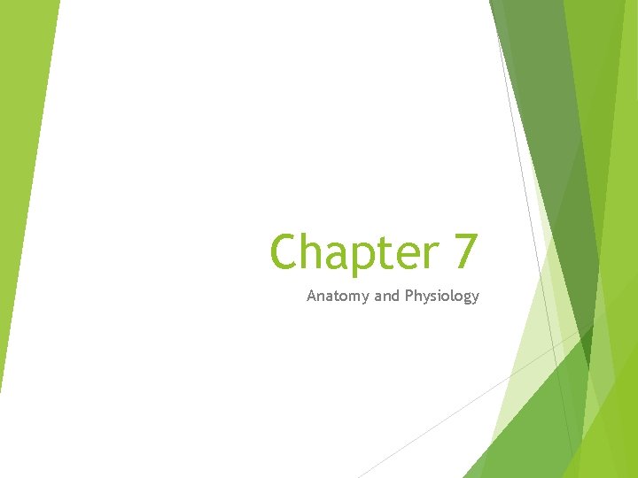 Chapter 7 Anatomy and Physiology 