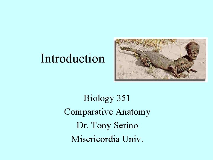 Introduction Biology 351 Comparative Anatomy Dr. Tony Serino Misericordia Univ. 