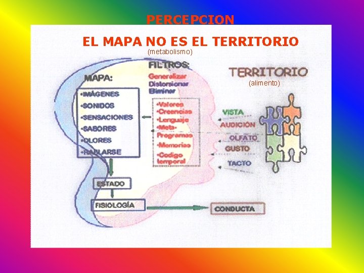 PERCEPCION EL MAPA NO ES EL TERRITORIO (metabolismo) (alimento) 