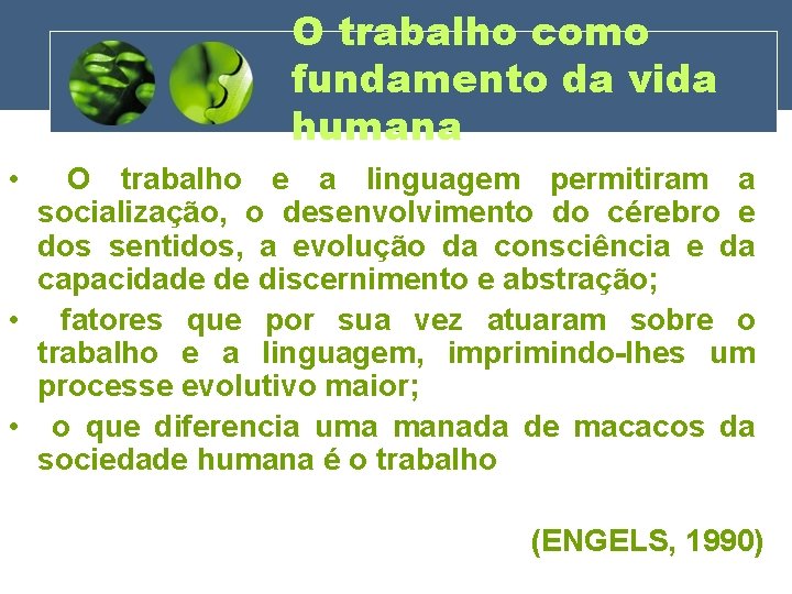 O trabalho como fundamento da vida humana • O trabalho e a linguagem permitiram