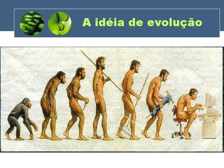 A idéia de evolução 