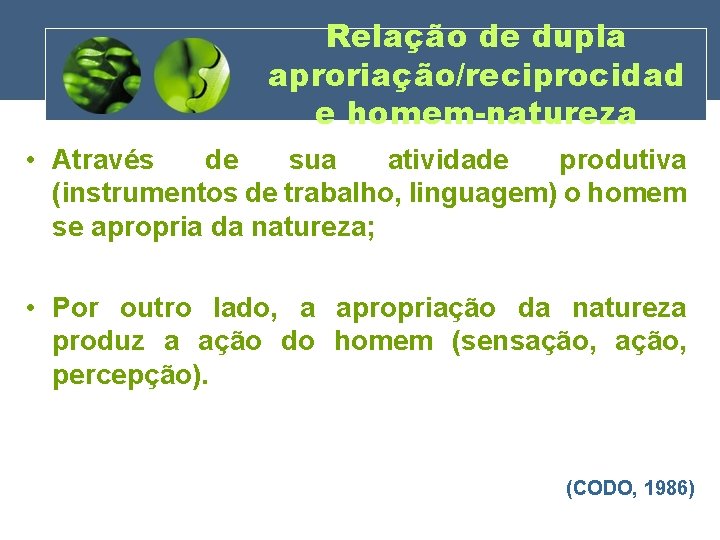 Relação de dupla aproriação/reciprocidad e homem-natureza • Através de sua atividade produtiva (instrumentos de