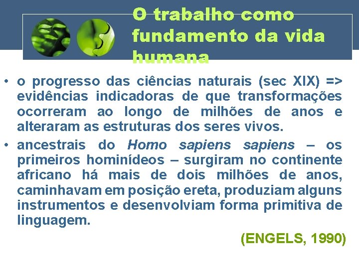 O trabalho como fundamento da vida humana • o progresso das ciências naturais (sec