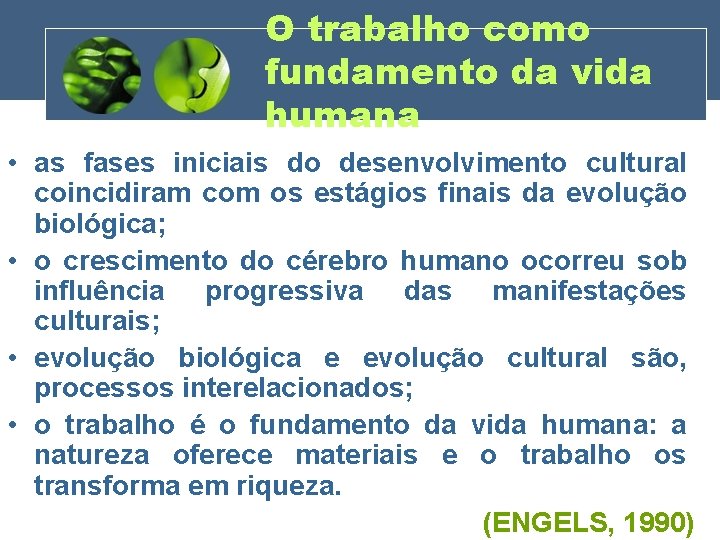 O trabalho como fundamento da vida humana • as fases iniciais do desenvolvimento cultural