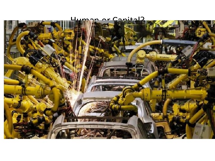 Human or Capital? Human or Capital?