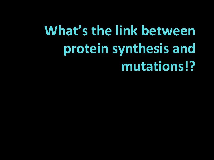 What’s the link between protein synthesis and mutations!? 