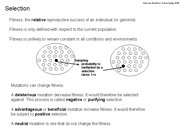 Genome Evolution. Amos Tanay 2009 Selection Fitness: the relative reproductive success of an individual