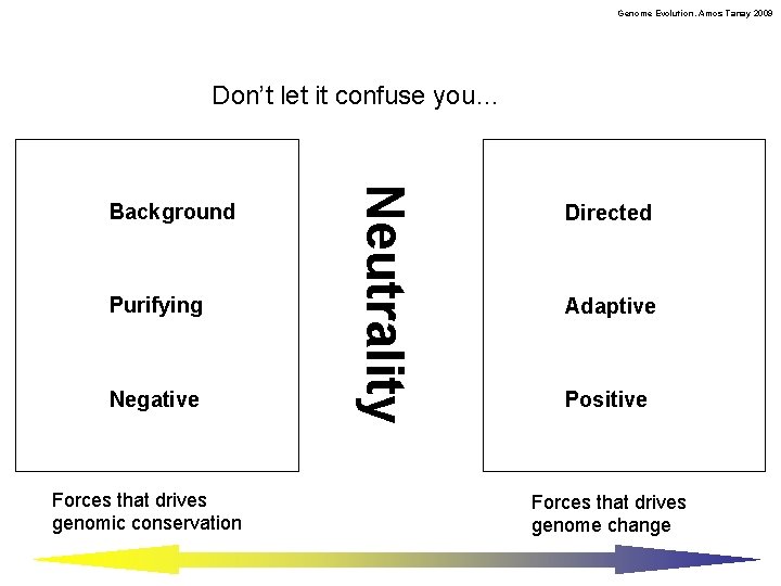 Genome Evolution. Amos Tanay 2009 Don’t let it confuse you… Purifying Negative Forces that