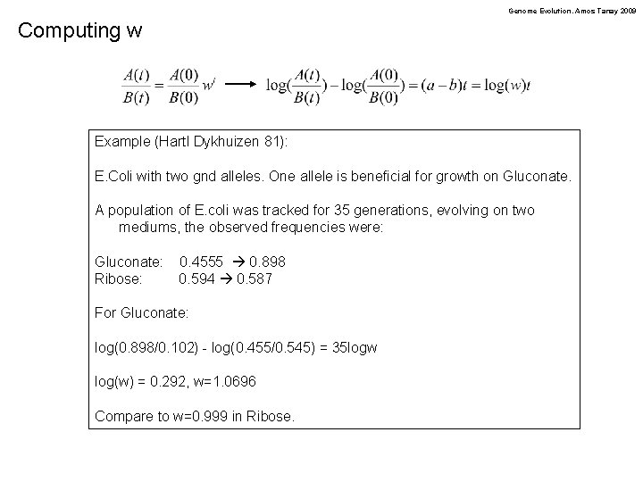 Genome Evolution. Amos Tanay 2009 Computing w Example (Hartl Dykhuizen 81): E. Coli with