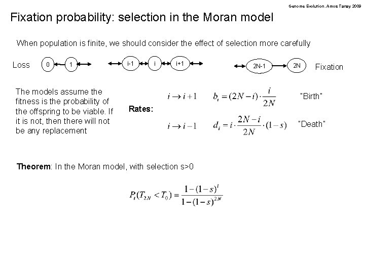 Genome Evolution. Amos Tanay 2009 Fixation probability: selection in the Moran model When population