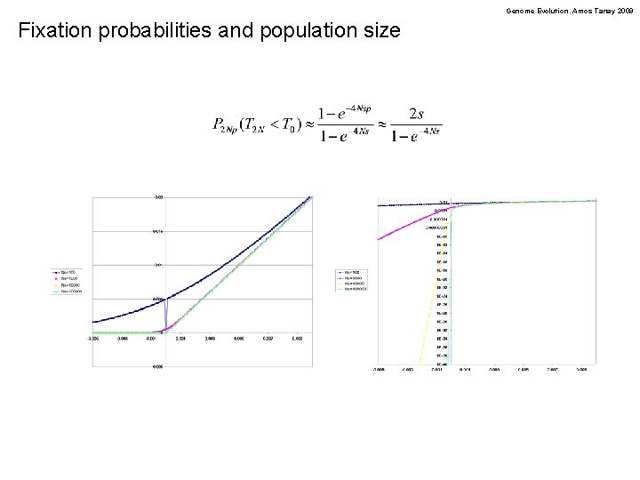 Genome Evolution. Amos Tanay 2009 Fixation probabilities and population size 